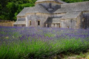 Villa en campo de lavanda Campos de Lavanda