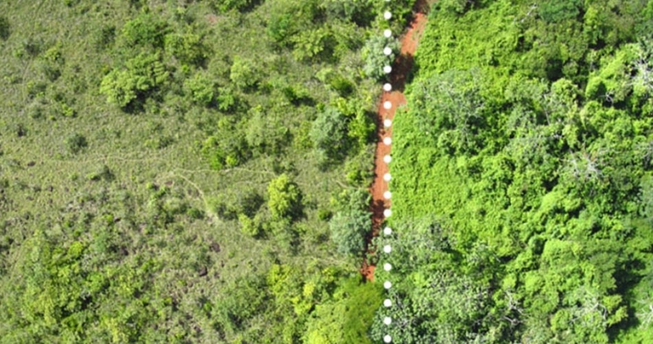 Cómo las cascaras de naranja pueden retardar el cambio climático