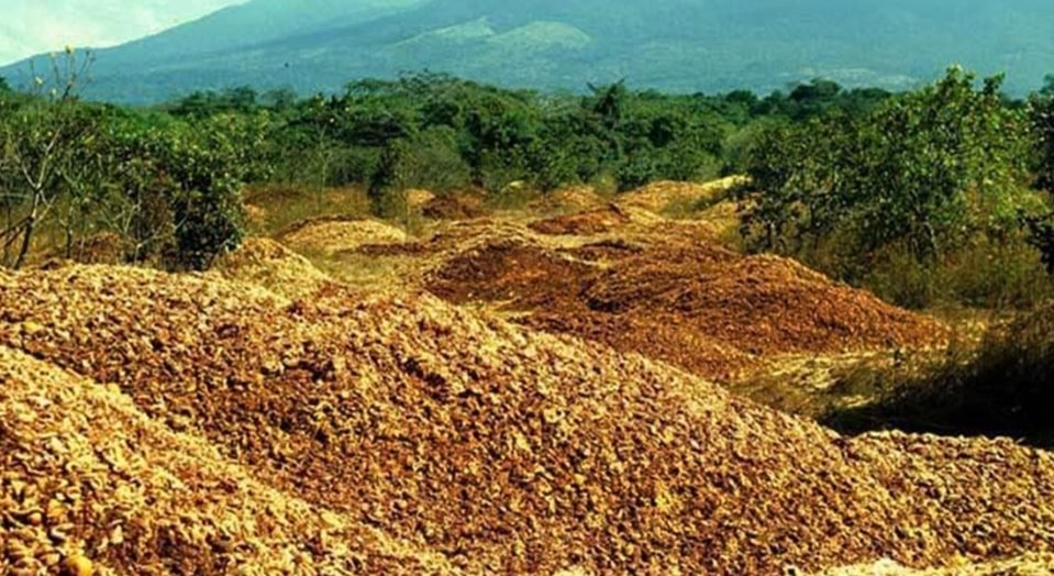Cómo las cascaras de naranja pueden retardar el cambio climático