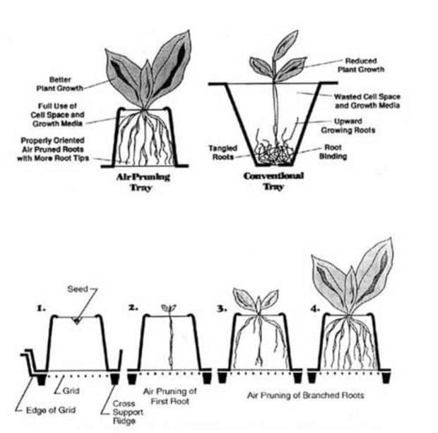 Cómo usar las bolsas para cultivo de plantas