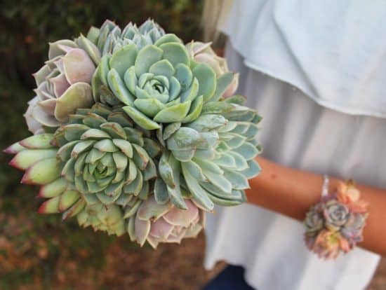 Ramos de novia con suculentas Ramos de novia con suculentas