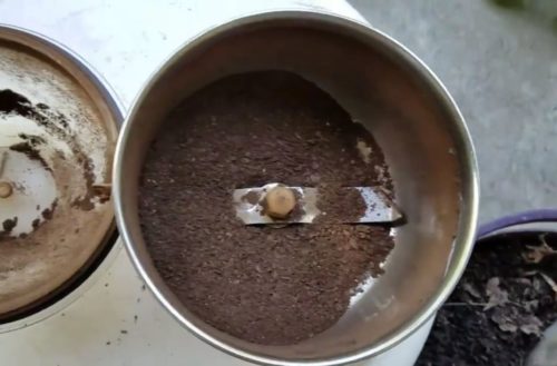 Cascara de maní en el compost