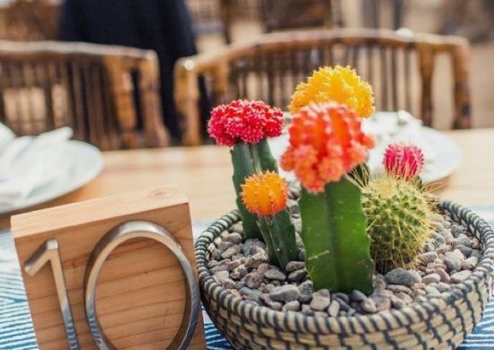 Bodas decoradas con cactus (3) Bodas decoradas con cactus