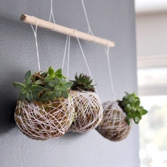 kokedama de suculentas (5) kokedama de suculentas