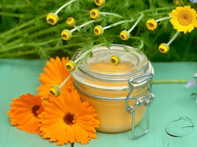 Como hacer crema de caléndula con cera de abeja - Succulent Avenue