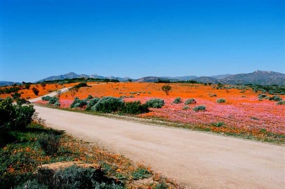 Parque Nacional Namaqua Parque Nacional Namaqua